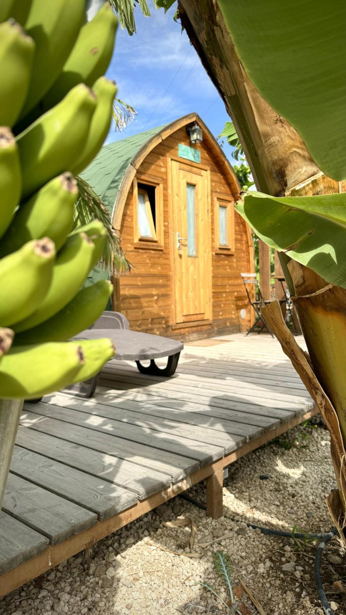 Lykke Suite Spa Sauna Piscina Y Jardin Buzanada 外观 照片