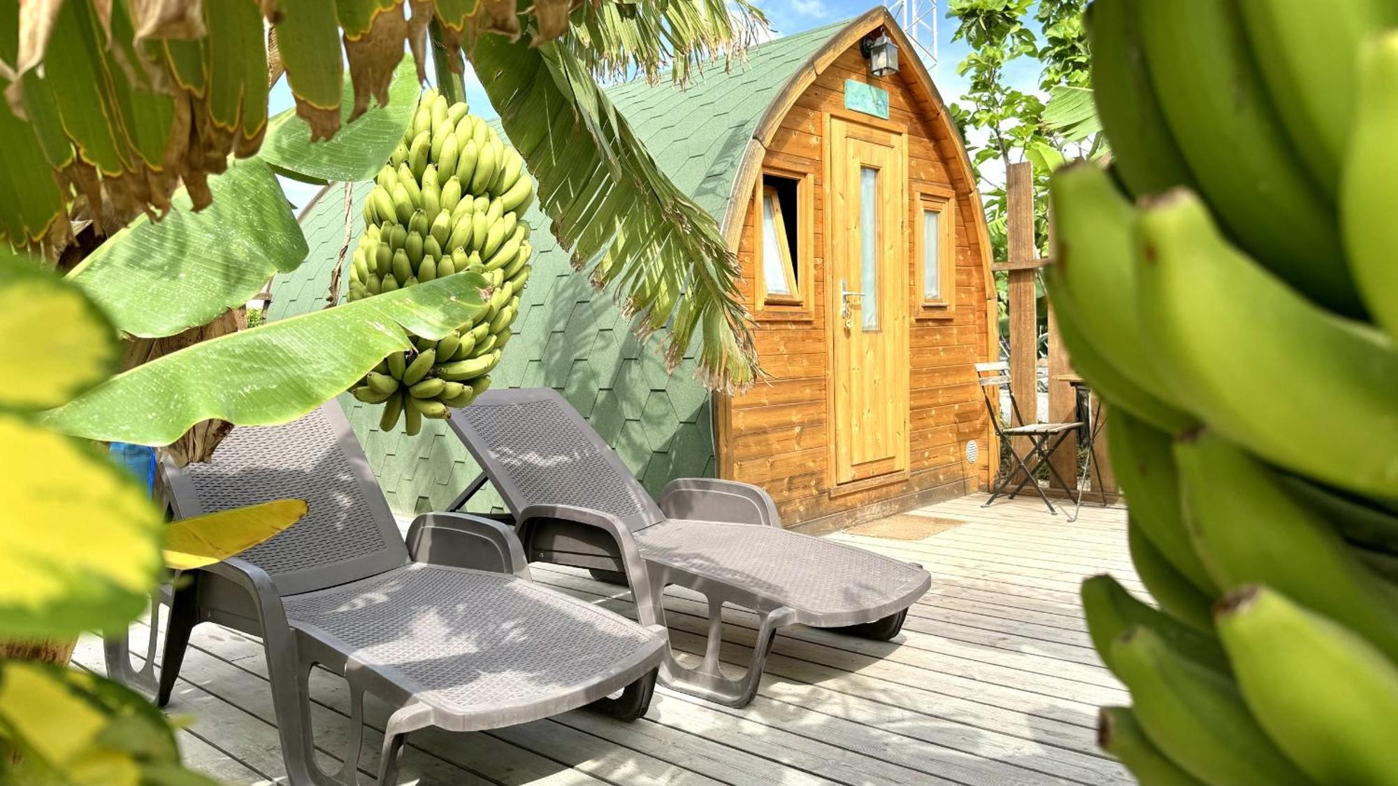 Lykke Suite Spa Sauna Piscina Y Jardin Buzanada 外观 照片